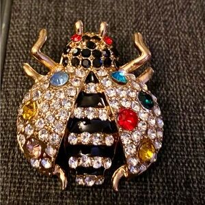 Colorful Gemstone Beetle Brooch